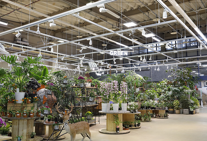 sigasiga orchid house